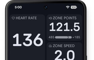 Clear real time heart rate zone monitoring, showing time in zone, and total effort in zone points.