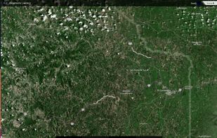 Zoomtastic screenshot 1