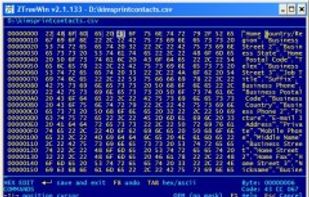 ZTreeWin screenshot 3