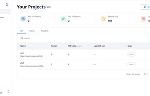 Create and manage mock API projects from a single dashboard. View project statistics, routes, API usage, and quickly start or stop mock servers.