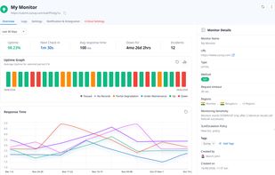 View the health of an individual monitor with uptime history, response time graphs, incident count, monitoring regions, request settings, and detailed performance metrics from a single dashboard.
