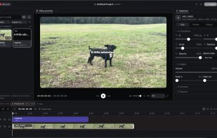 ZXN Studio's Mac video editor with its preview and multi-track timeline.