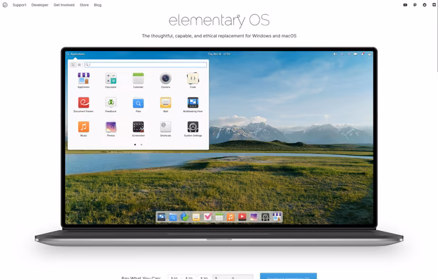 Website