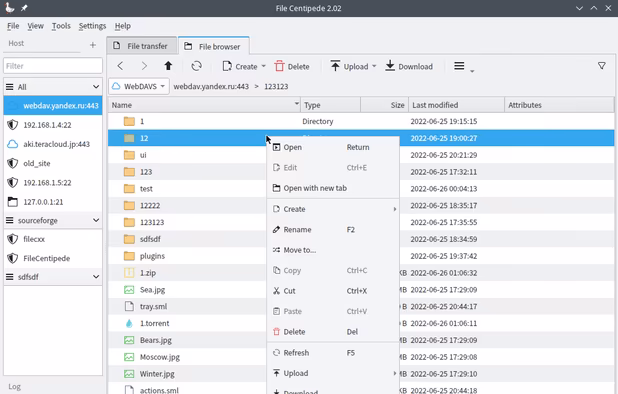 File Centipede screenshot 2
