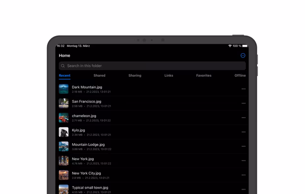 Filen screenshot 2