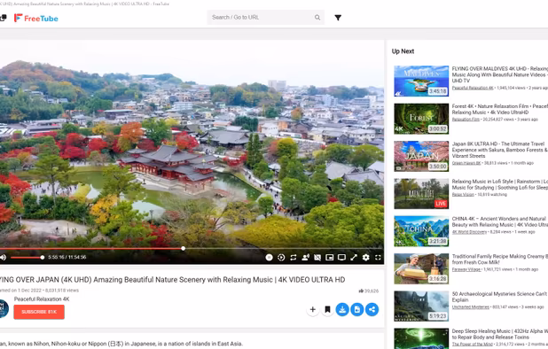 Video player