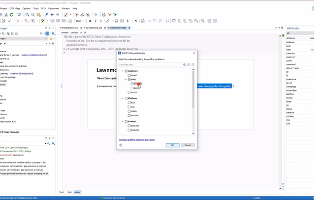 Oxygen XML Editor screenshot 1