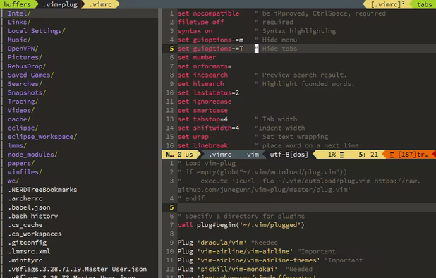 GVim with netrw+airlines+ctrlspace+xkb-switch+monokai theme+Source Pro font