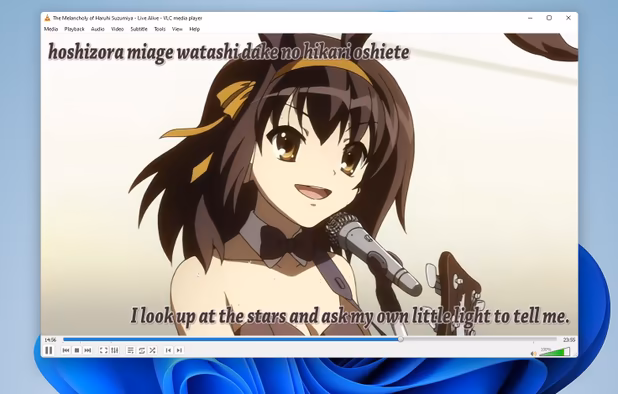 VLC Media Player screenshot 2