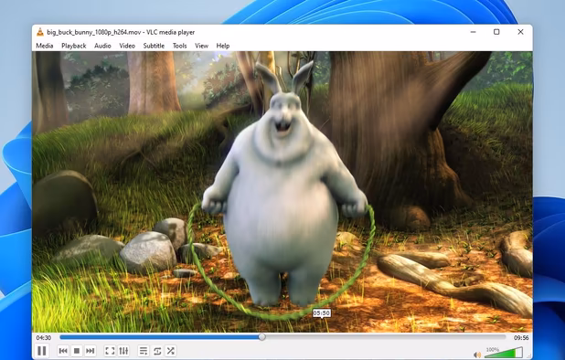VLC Media Player screenshot 1