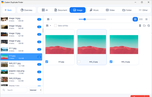 Windows UI: Results window displaying detected duplicate files, with side-by-side image previews
