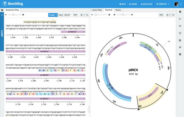SnapGene Viewer Alternatives: Top 12 DNA Editors & Similar Apps ...