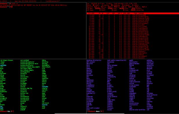 Best Kali Linux Alternatives: Top Linux Distros in 2025 | AlternativeTo