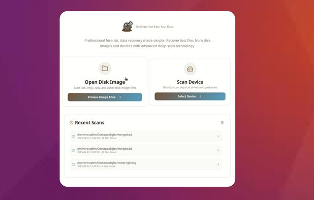 DiskGenius Alternatives for Linux: Top 12 File Recovery Tools ...