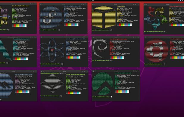 Best Docker Alternatives: Top Virtualization Tools in 2026 | AlternativeTo