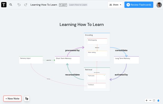 Best Anki Alternatives: Top Flashcard Learning Tools in 2026 ...