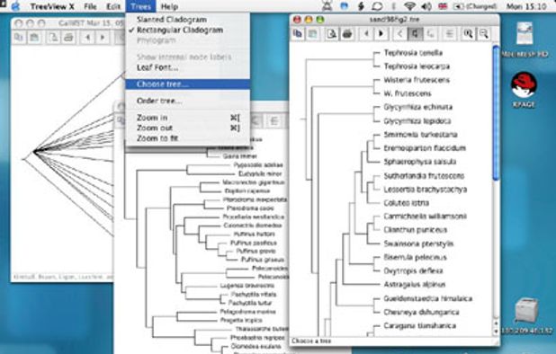 TreeView Alternatives - Explore Similar Software | AlternativeTo