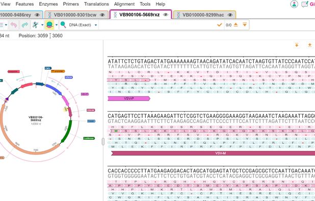 SnapGene Viewer Alternatives: Top 12 DNA Editors & Similar Apps ...