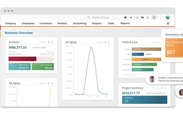 Striven screenshot 1