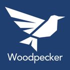 Woodpecker 