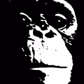 AlternativeTo profile picture for @ian