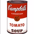 AlternativeTo profile picture for @campbell