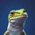 undeniably_lizard